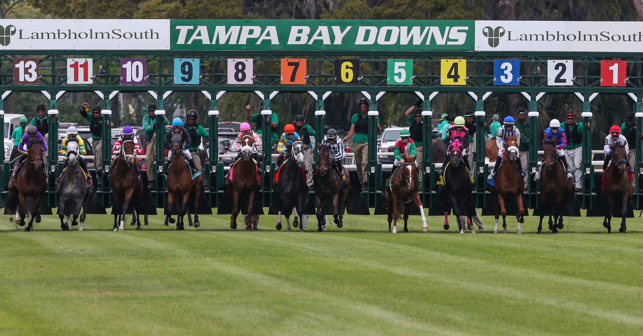 Stakes Schedule Tampa Bay Downs