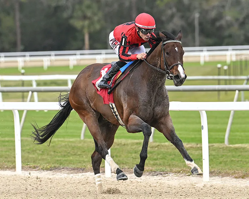 NIC’S STYLE SETS STAKES RECORD IN CITY OF OCALA; BIG MARTINI WINS